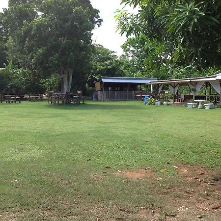 Gasthaus Chillax On Our Farm Ocho Rios Exterior foto