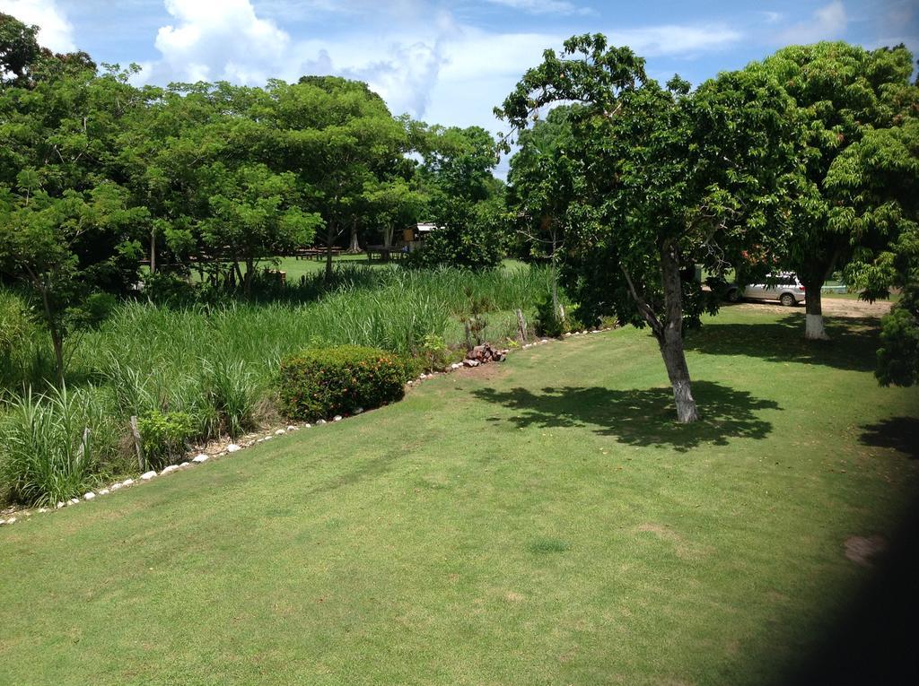 Gasthaus Chillax On Our Farm Ocho Rios Exterior foto